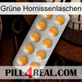 Grüne Hornissenlaschen levitra1